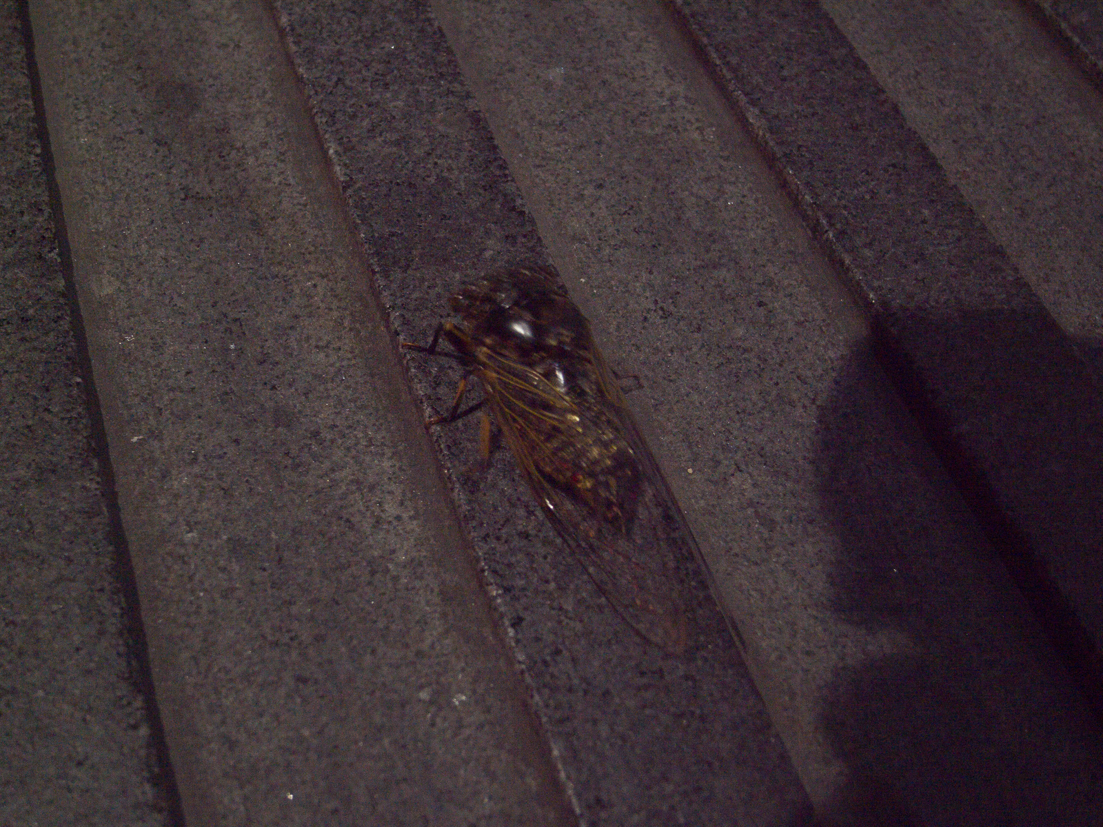 今夜无风 image 21
